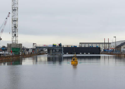 IMG_8446-Enhanced-NR.jpg IMG_8446-Enhanced-NR.jpg